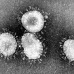 L’EPIDEMIA DELLA SARS – Nel 2002 i primi casi della malattia –